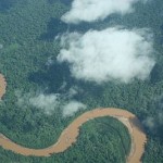 Brazylia: Aresztowania za nielegalną wycinkę lasów Amazonii