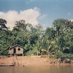Brazylia: Bunt Indian w Amazonii