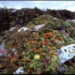 Miliony ton żywności wyrzuca się na śmietnik