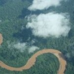 Amazonia ocalona przed chciwością kapitalistów