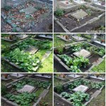 Toruń: Renowacja zapomnianych grobów