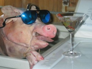 normal_pig_with_moros_sunglasses_and_martini