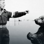 Wojtek – niedźwiedź, który został żołnierzem