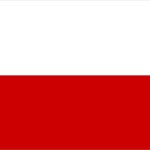 Dzieje polskiego nacjonalizmu: Partia Narodowych Socjalistów