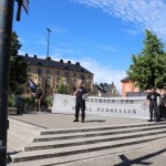 Szwedzcy NS: Zniszczyć globalizm, kara śmierci dla pedofilów!