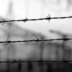 Greg Johnson: Radzenie sobie z holokaustem