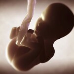 Nacjonalista.pl popiera: Projekt ustawy „Aborcja to zabójstwo”