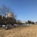 Stanisław Stworzony: Obcy kapitał broni dzieci przed drzewem